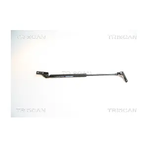462003 TRISCAN