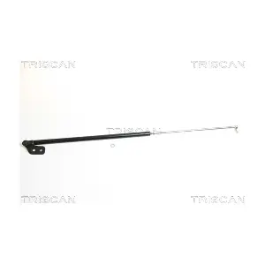 431007 TRISCAN