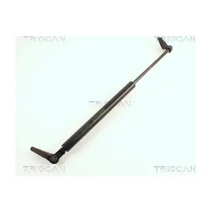 440018 TRISCAN