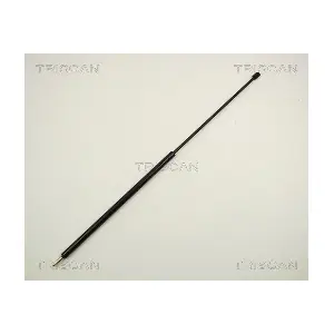 312007 TRISCAN