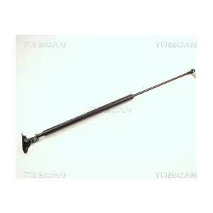 464022 TRISCAN