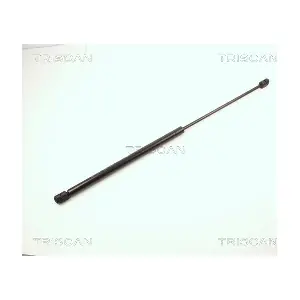 61328 TRISCAN