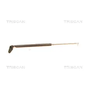 424004 TRISCAN