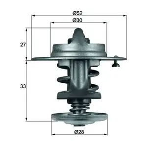 TX 80 83 MAHLE