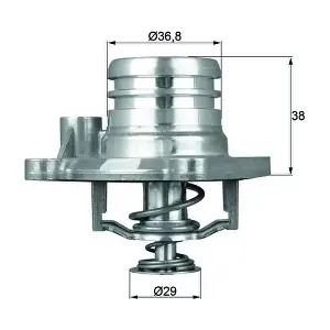 TI1392 MAHLE