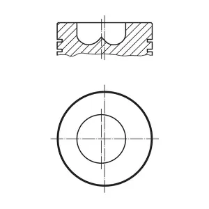 MAHLE 0098900