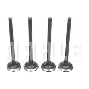 VE1950224 MAHLE