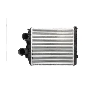 CI293000P MAHLE