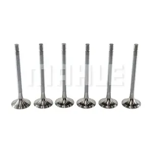 VA0480006 MAHLE