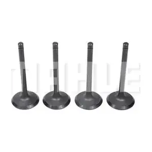 VA0630240 MAHLE