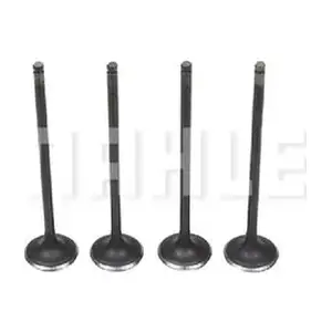 VA0510209 MAHLE