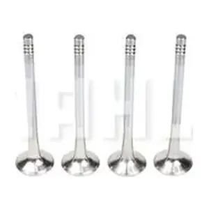VE0250169 MAHLE