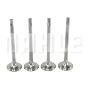VE0700253 MAHLE