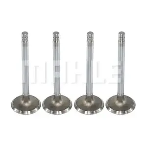 MAHLE VA0570038