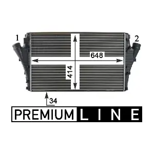 CI301000P MAHLE