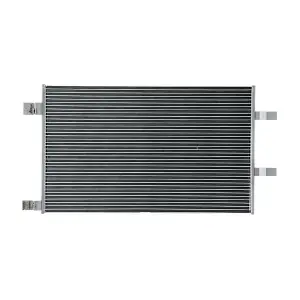 AC1123000P MAHLE