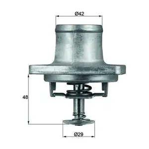 TI 48 80D MAHLE