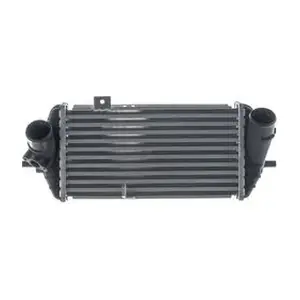 CI656000S MAHLE