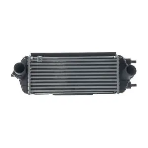 CI695000S MAHLE