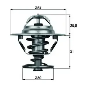 MAHLE TX1081D