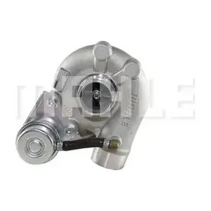 TC0010123 MAHLE