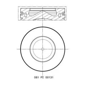 081 PI 00131 002 MAHLE