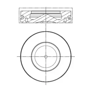 081PI00100000 MAHLE