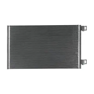 AC569000S MAHLE