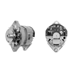 MAHLE MG 191