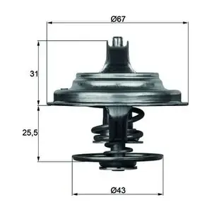 MAHLE TX 23 79D