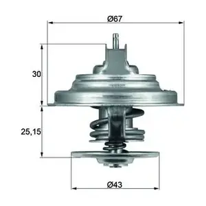 TX 31 92D MAHLE