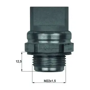 TSW 31 MAHLE