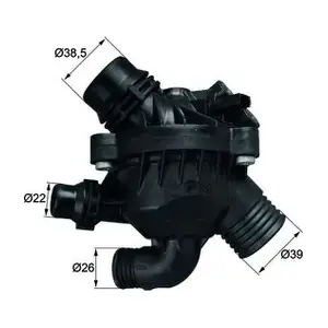 MAHLE TM3097