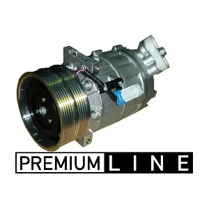 MAHLE ACP1289000P