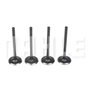 VA0630205 MAHLE