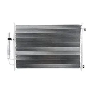 AC829000P MAHLE