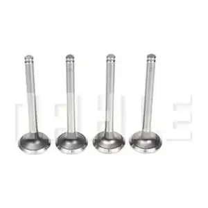 MAHLE VE0700062