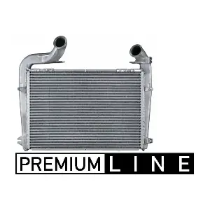 CI 256 000P MAHLE