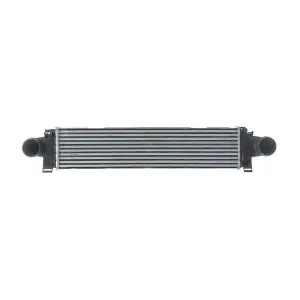 CI 696 000S MAHLE