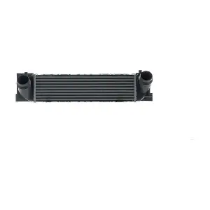 CI686000S MAHLE