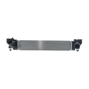 CI621000P MAHLE