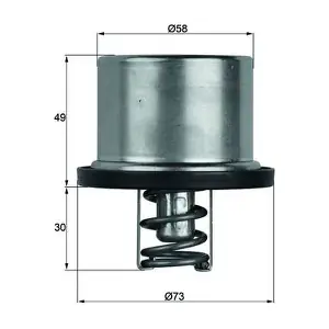 TX 37 79 MAHLE