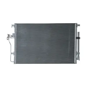 AC 989 000S MAHLE