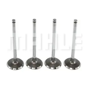 VA0441091 MAHLE