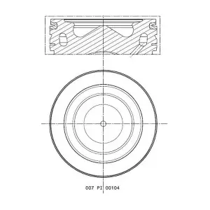 007 PI 00104 000 MAHLE