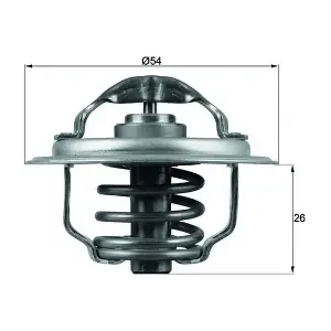 MAHLE TX11187D