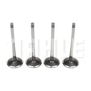 MAHLE VA0440575