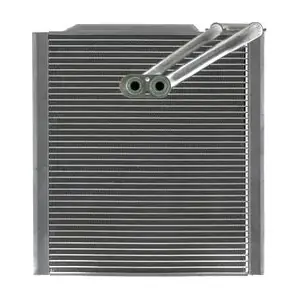 AE215000S MAHLE