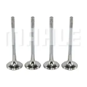 VE0140071 MAHLE