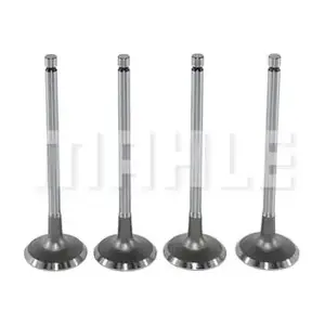 MAHLE VA0440578